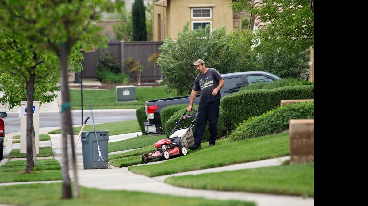 
Cash-for-grass programs might encourage homeowners to give up thirsty lawns like these in El Dorado Hills. 
