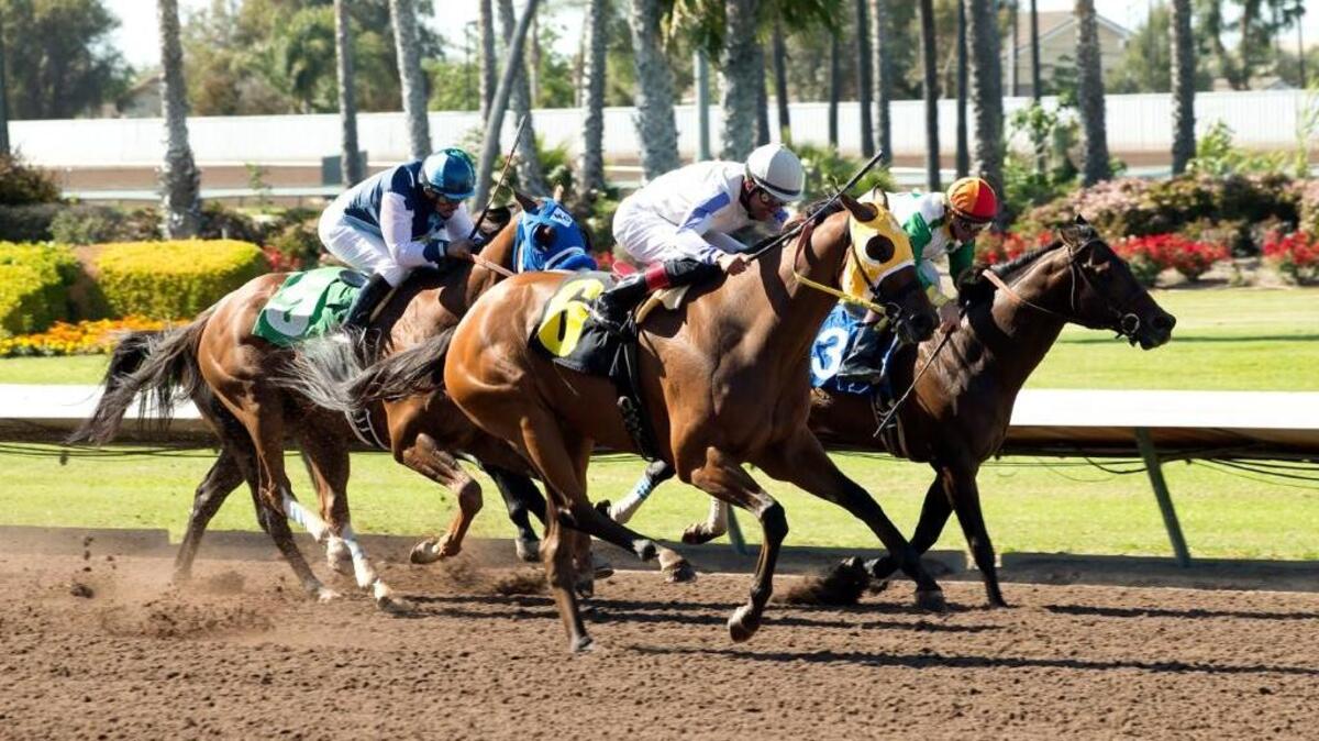 Horse racing stands to gain a $60 million-a-year subsidy if legislators approve Assembly Bill 2863.
