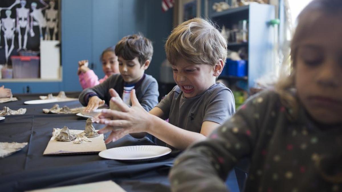 Kindergartner Nixon Riddick works on a science project at Juan Cabrillo Elementary School in Malibu in March. A legislative committee rejected a bill to give parents of English learners more choice among public schools.