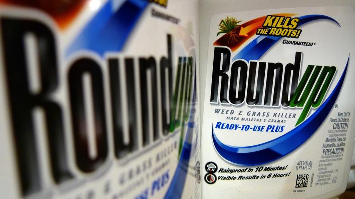 Glyphosate, the key ingredient in Monsanto’s Roundup herbicide, shown here, was recently added to California’s Proposition 65 list of cancer-causing agents. It is one of the most widely used weed killers in the world.
