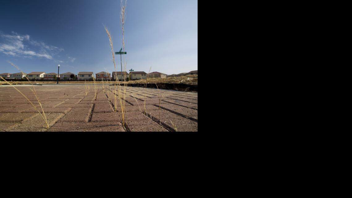 
Weeds sprout from an unfinished lot in Natomas last May. When a building moratorium is lifted this summer, city planners propose limiting new residential development.
