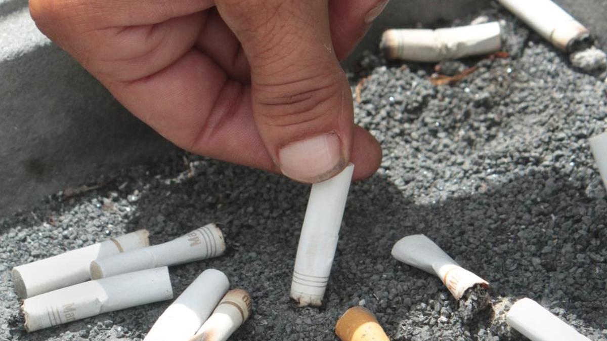 The investment staff of the $300 billion California Public Employees’ Retirement System fund is urging the board to reverse its long-standing policy and re-invest in tobacco stock.