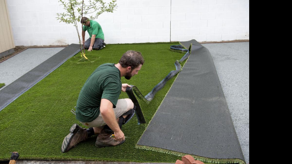 
Installers with Pacific Grass and Turf place artificial grass at a client’s home in Sacramento. The city may relax a ban on artificial turf on front lawns because of the drought.

