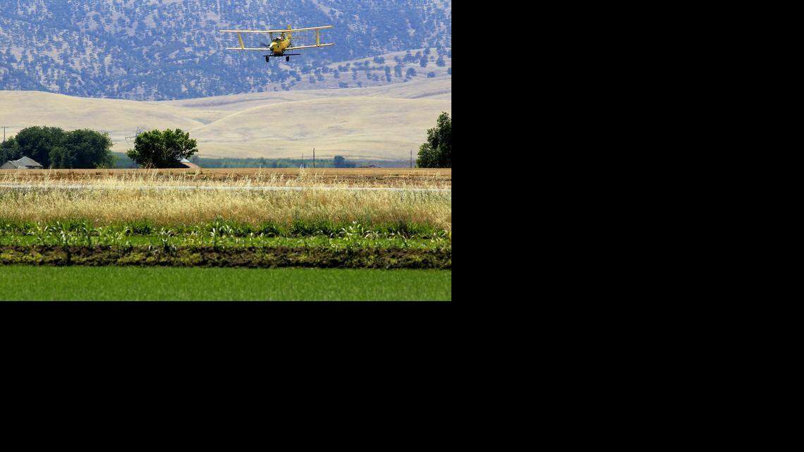 
A crop duster dives over a flooded rice field in the Sacramento Valley. California Gov. Jerry Brown’s order to curb the state’s water use largely bypasses agriculture, California’s biggest water user. 
