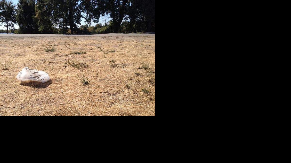 
A stray single-use plastic bag near Locke in the Sacramento-San Joaquin River Delta.
