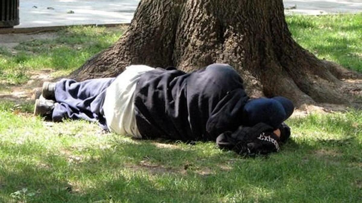 A homeless man sleeps under a tree.