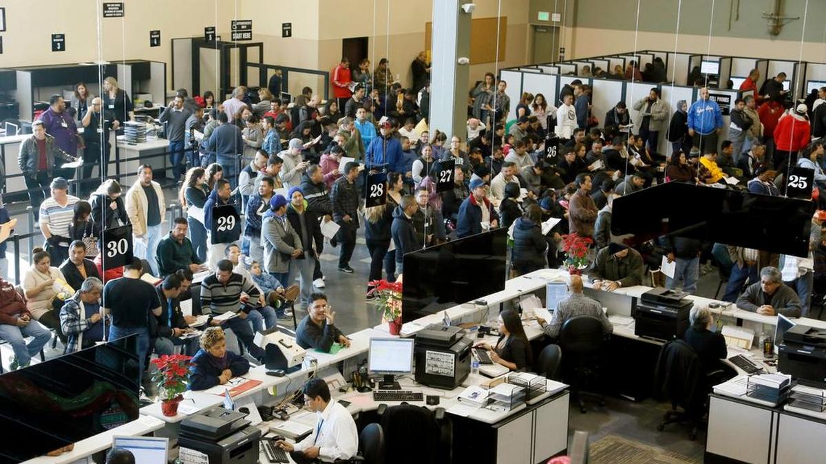 
A Department of Motor Vehicles office in Orange County is inundated as registration opens in January for immigrant driver’s licenses. Since then, about 500,000 have been issued in the state. 
