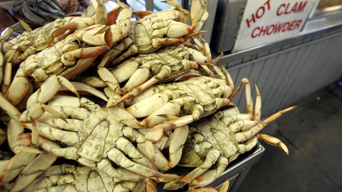California has delayed the start of Dungeness crab season due to record algal blooms on the West Coast that have rendered the crustaceans here poisonous.