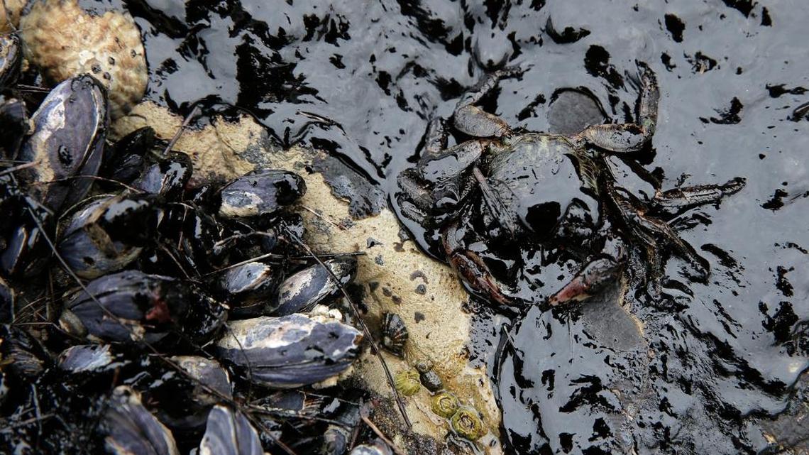 California sues feds over offshore oil drilling, latest in over 60 challenges