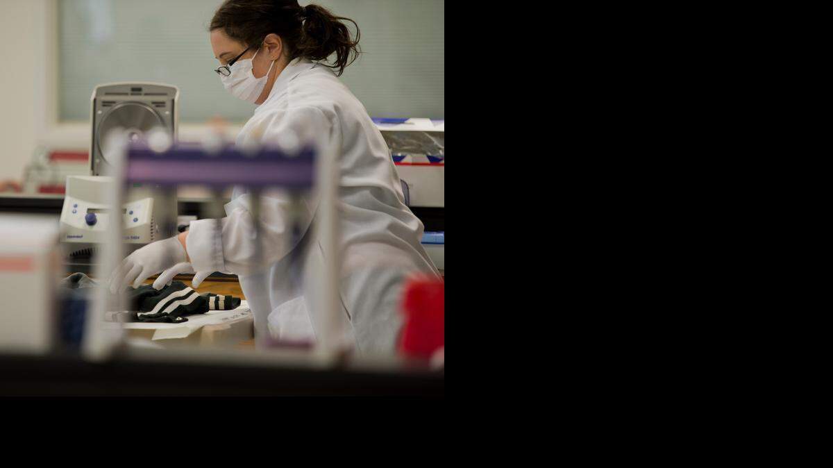 
Criminalist Nikki Sewell works to extract DNA from a jacket in the Sacramento County violent crime lab in 2013. By reclassifying many felonies as misdemeanors, California’s Proposition 47 reduces the number of suspects from whom police agencies can collect DNA for a state database.
