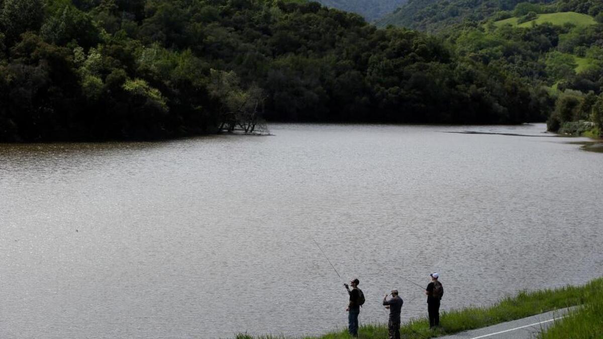 Fisherman cast their rods at the Almaden Reservoir in San Jose, after last weekend’s epic rain.