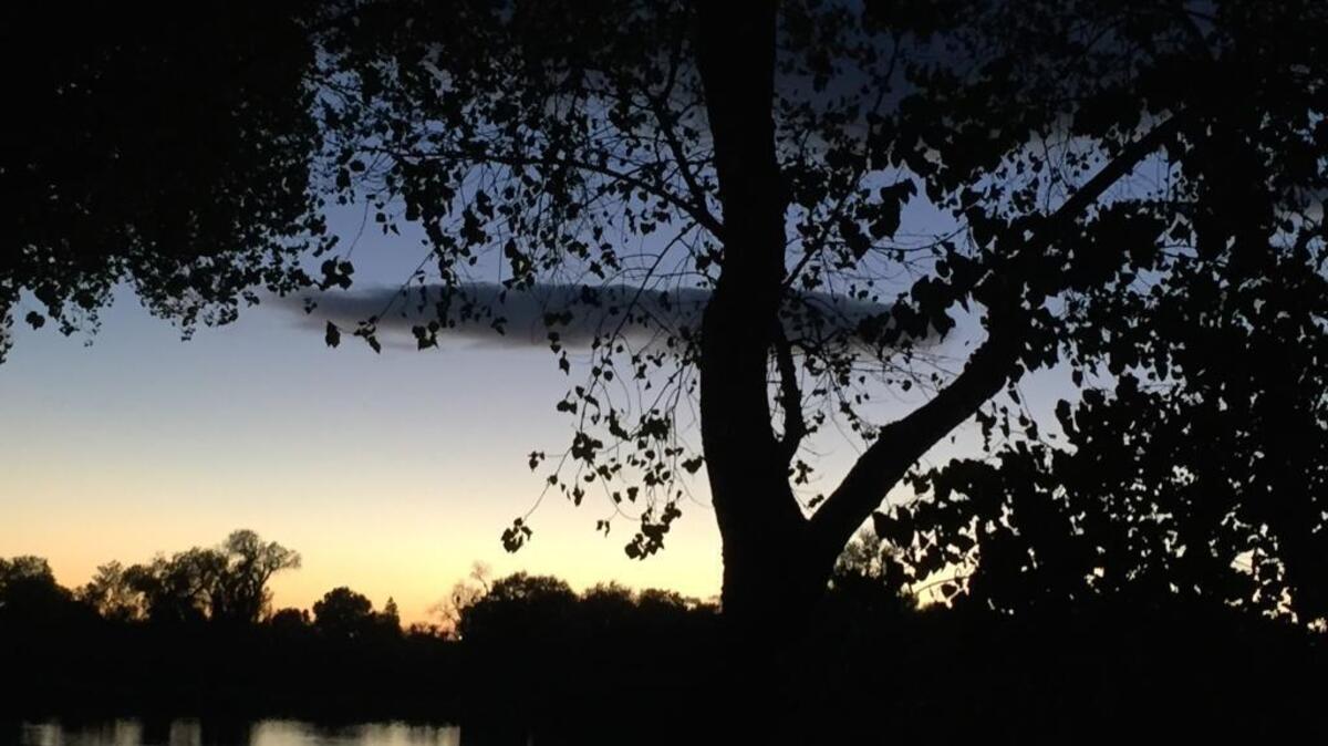 The soft orange sunset over the American River cannot cleanse the mind completely of all its sorrow.