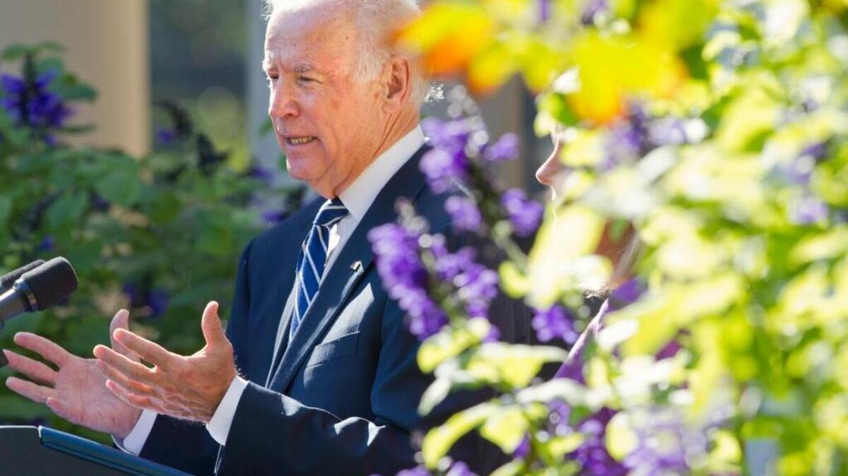 Vice President Joe Biden speaks in the Rose Garden of the White House in Washington on Wednesday. He has decided against running for the presidential nomination.