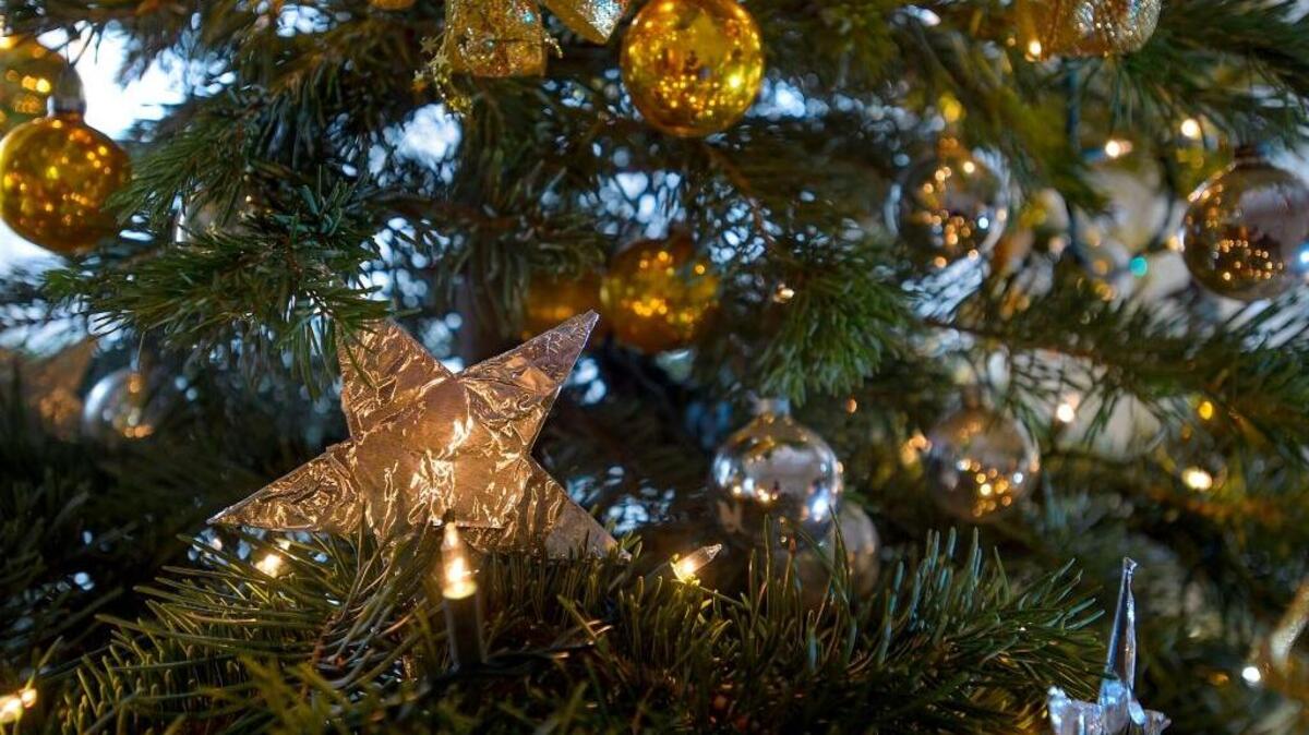 Lights on the Christmas tree of Falcon Lee of Sacramento share their space with angels and stars.
