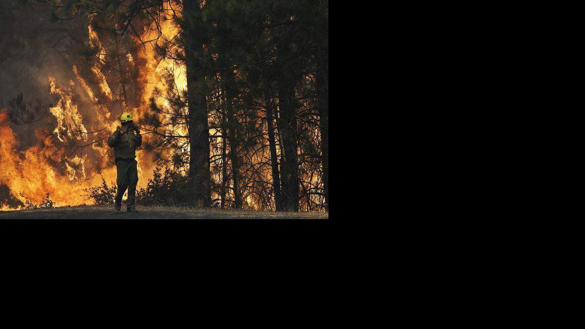 
Firefighter A.J. Tevis watches the flames of the Rim fire near Yosemite National Park in August 2013. The costs of firefighting can force the U.S. Forest Service to raid funds for other programs.
