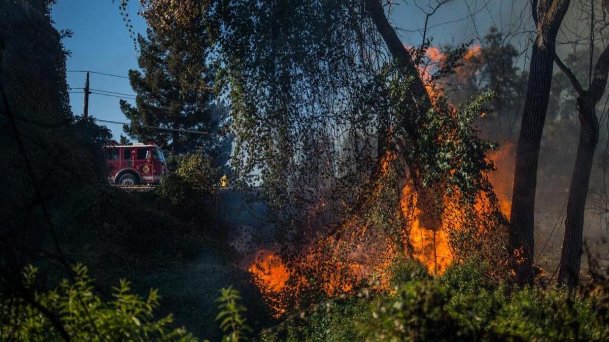 
A grass and brush fire at Discovery Park. 
