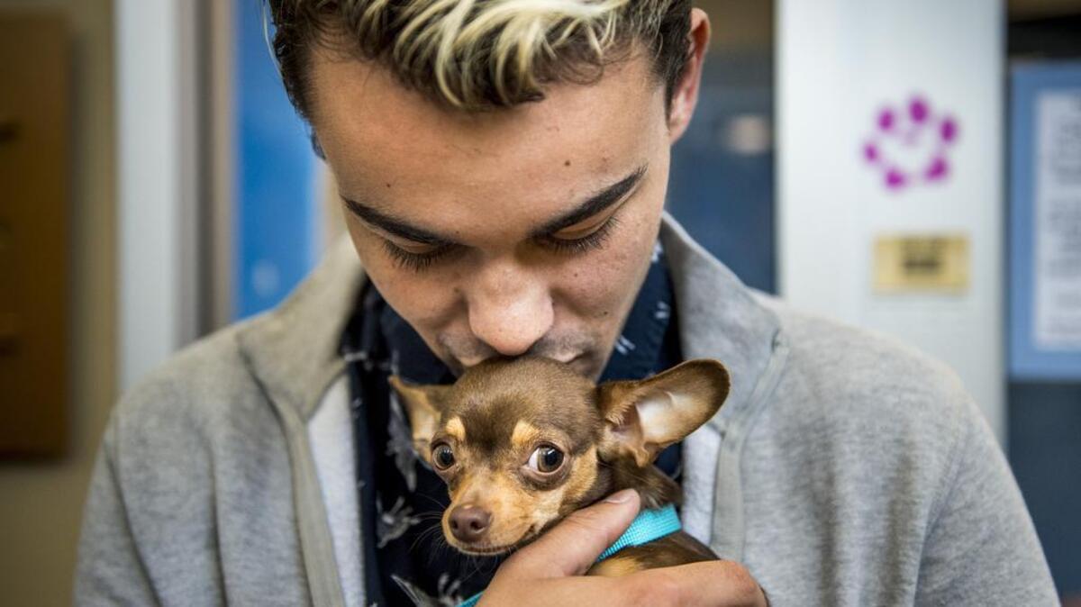 Alec Nygard is reunited with his dog, Rosemary, after her new owners agreed to surrender the pup at the Bradshaw shelter in Sacramento on Friday.