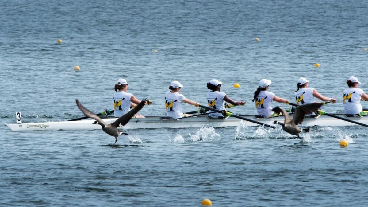 Geese fly out of the pathway of the Humbolt State University rowers in the DII – Eights Grand Final during the NCAA Women Rowing Championships at Lake Natoma in May.