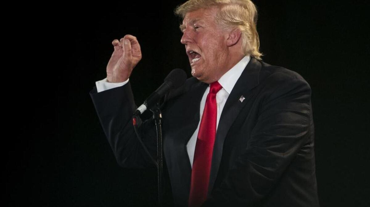 Republican presidential candidate Donald Trump addresses supporters at a campaign event at the San Jose Convention Center on June 2.
