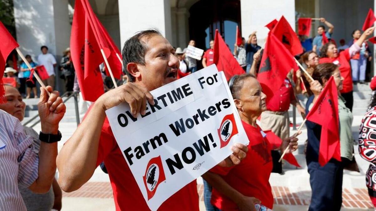 Gov. Jerry Brown signed AB 1066 on Monday, granting agricultural workers the same right to overtime pay as other Californians.