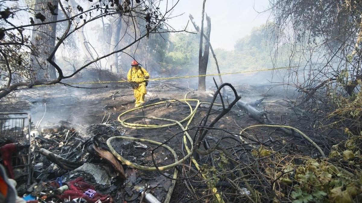 
Sacramento fire Capt. Eddie McThorn walks through an area near Discovery Park where a grass fire burned into the tree tops before it was extinguished by firefighters in August. A large homeless camp was badly burned. 
