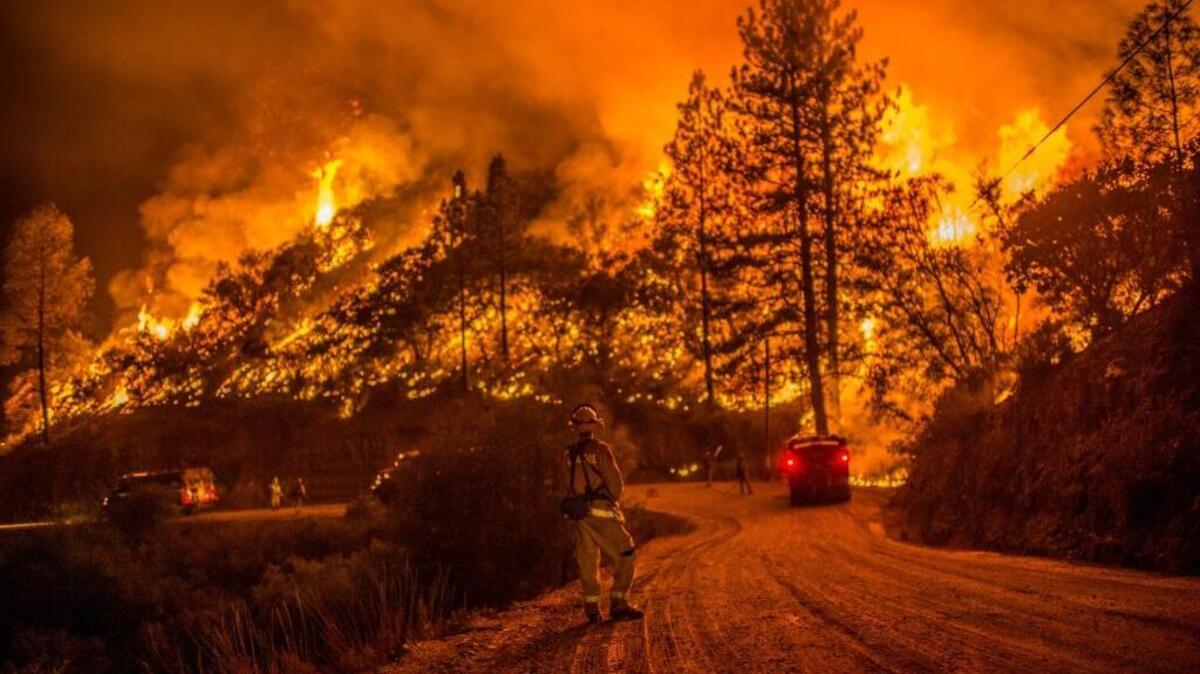 
Fire crews ran night operations and controlled burnings to contain the Butte Fire in Sheep Ranch on Sept. 12. 
