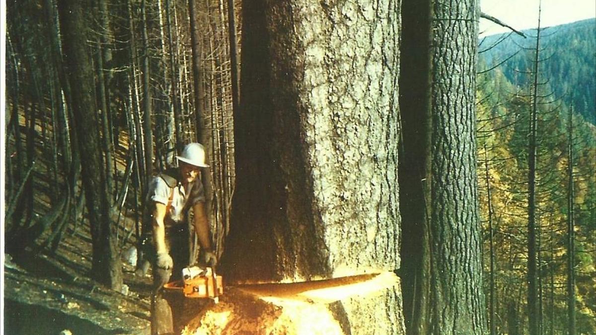Ace Salmon, the author’s grandfather, at work in Siskiyou County.