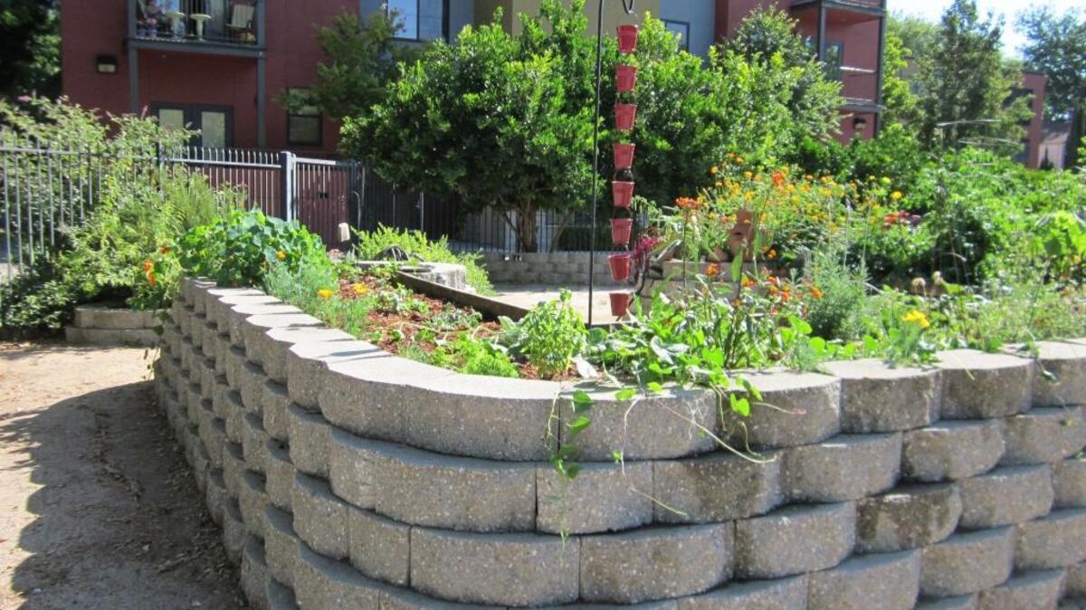 Hilary Abramson’s garden plot, for now.