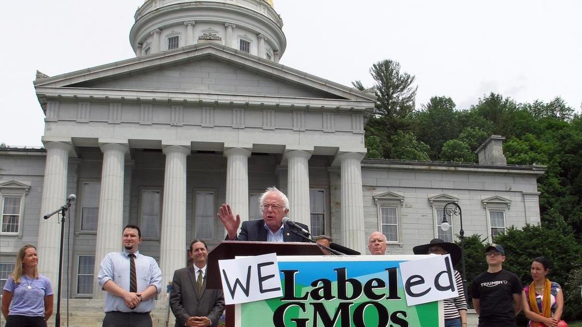 Sen. Bernie Sanders speaks at a rally at the Vermont Statehouse on July 1 to mark the first state law to require the labeling of foods made with genetically modified ingredients. Congress passed a bill last week. But Karin Klein says such laws are misguided.
