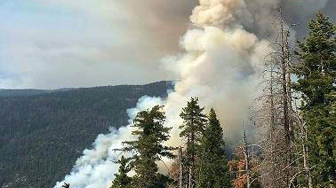 This bill will lower the risks of wildfires and climate change