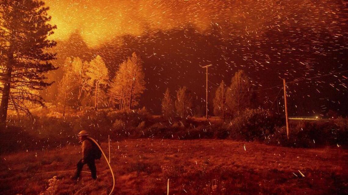 More logging in California’s forests won’t prevent wildfires, no matter what the Trump administration says