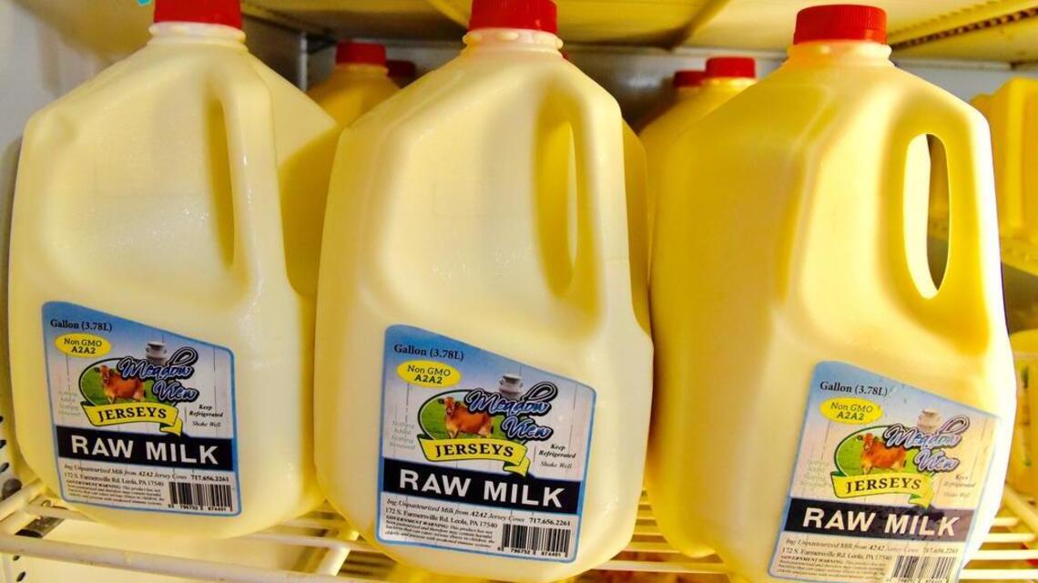 Raw milk is safe and helps strengthen our immune systems