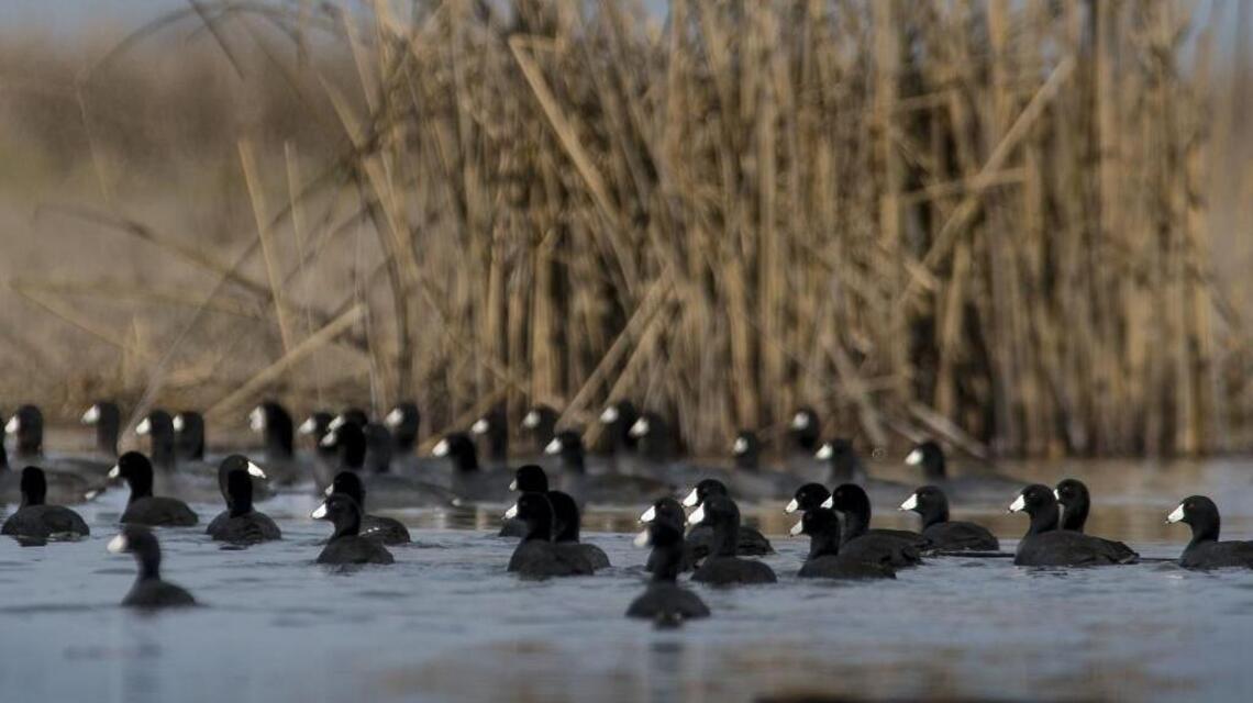 Sacramento (and its lawyers) confront county on Natomas. What’s next? | Opinion