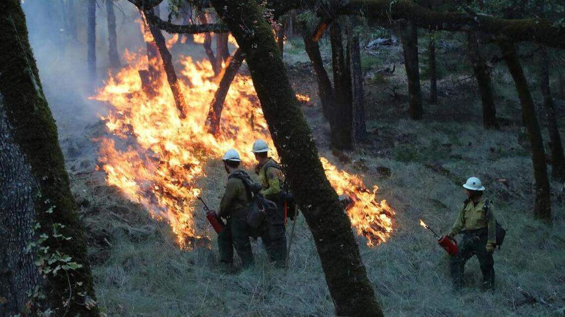 Another reason to save California forests? Our water supply