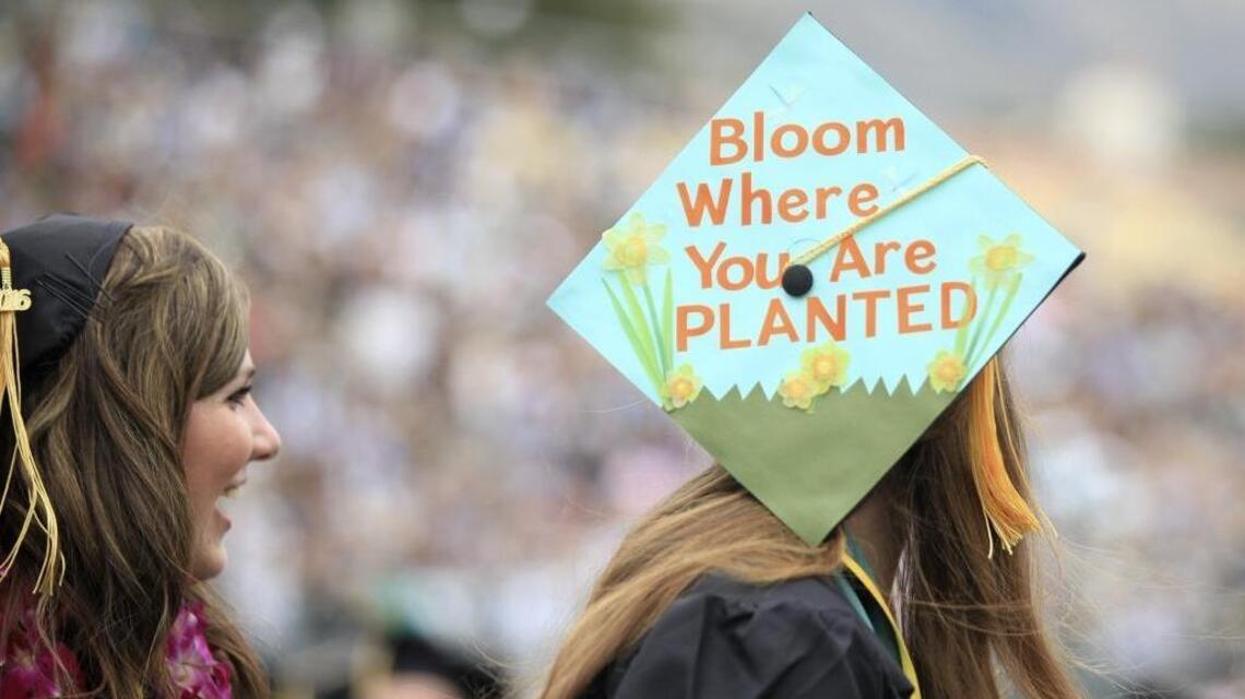 Investing in Cal State pays off