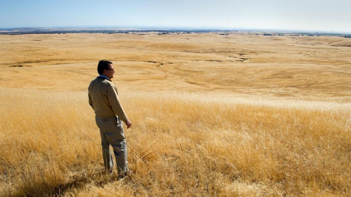 Developer Ron Alvarado looks over the Cordova Hills property, a mixed-use development, first approved by Sacramento County supervisors in 2013.