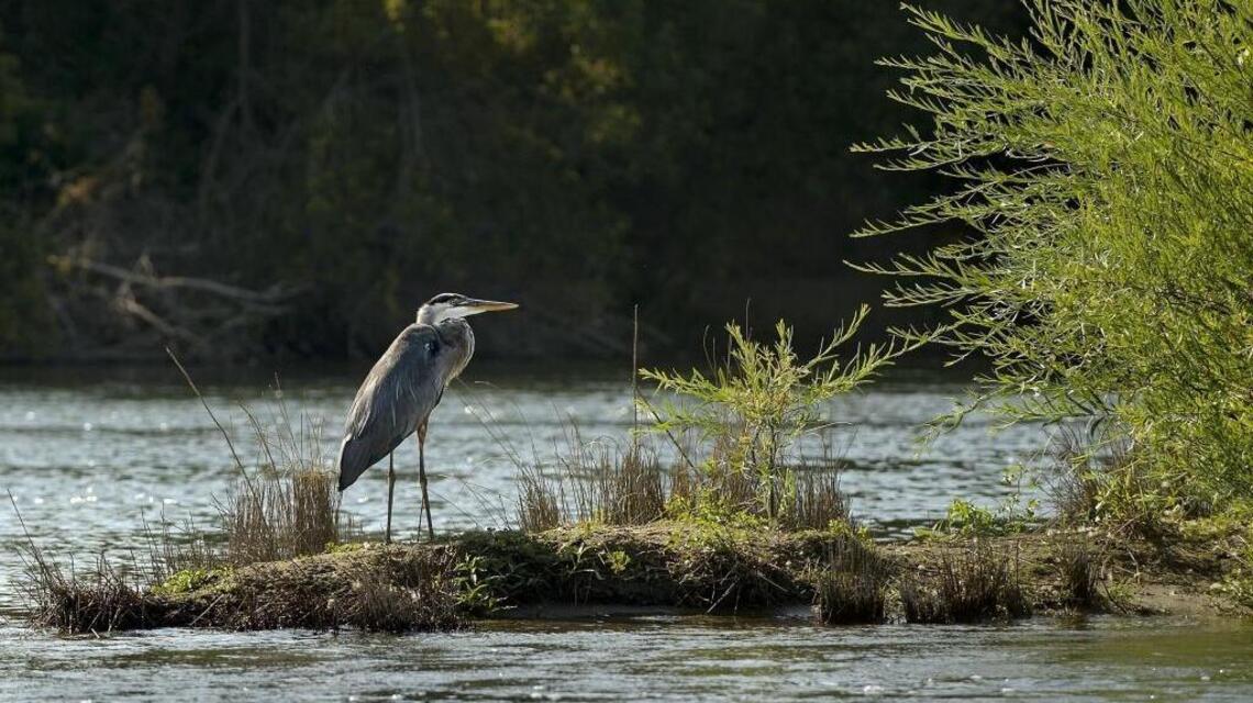Prop. 68 will prepare California for climate change