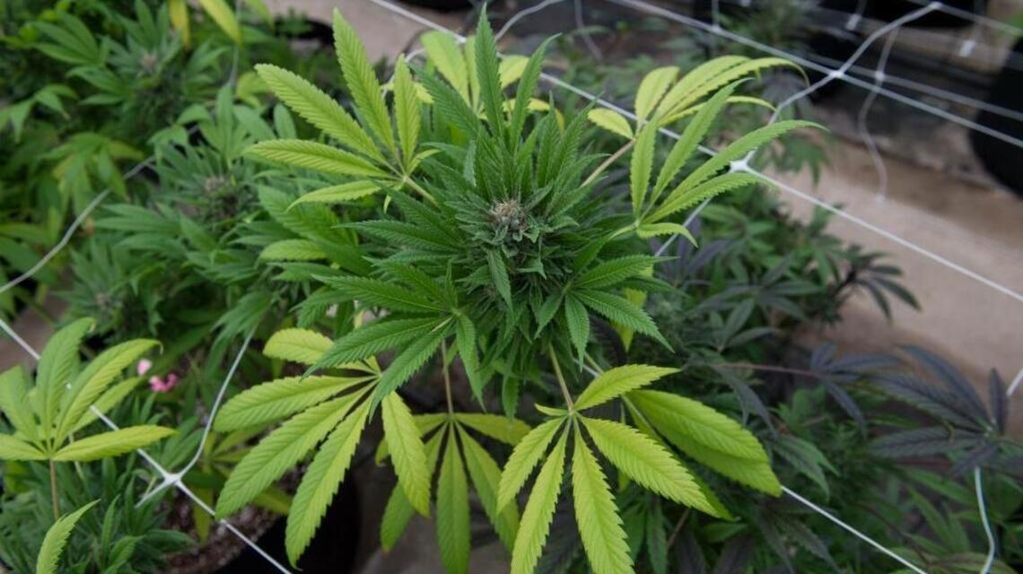 Paying black people reparations for the war on drugs? Not as crazy as it sounds