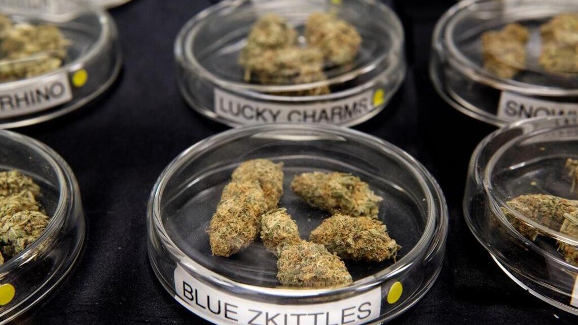 Sacramento promised black entrepreneurs a cut of the cannabis economy. How long must they wait?