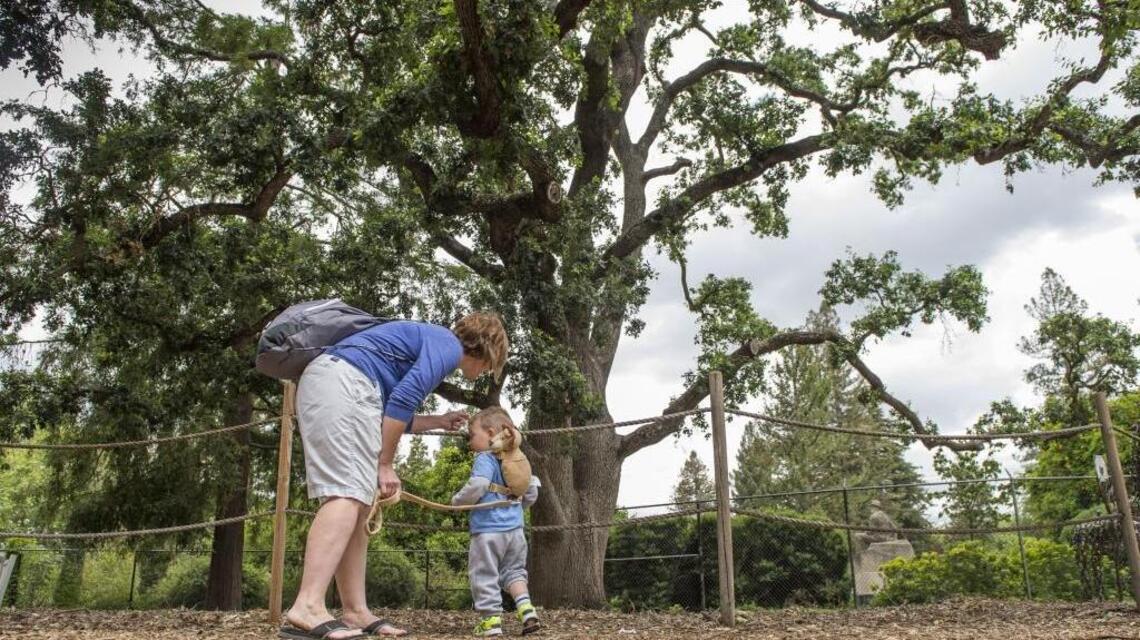 Parks help soothe the soul, but need careful tending