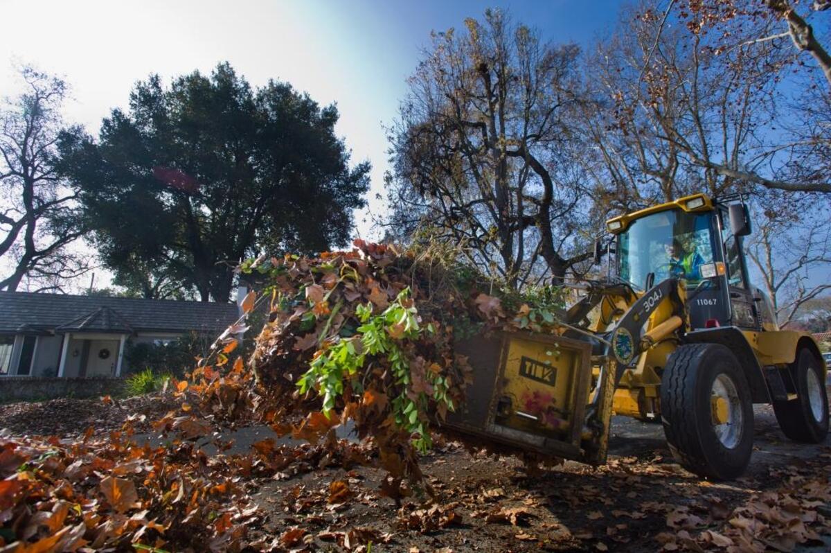 The ‘Claw’ scoops up leaves in Land Park in December 2011. 