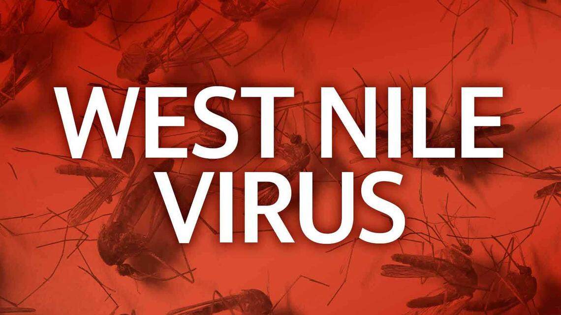 East Sacramento dead bird positive for West Nile virus ahead of holiday weekend