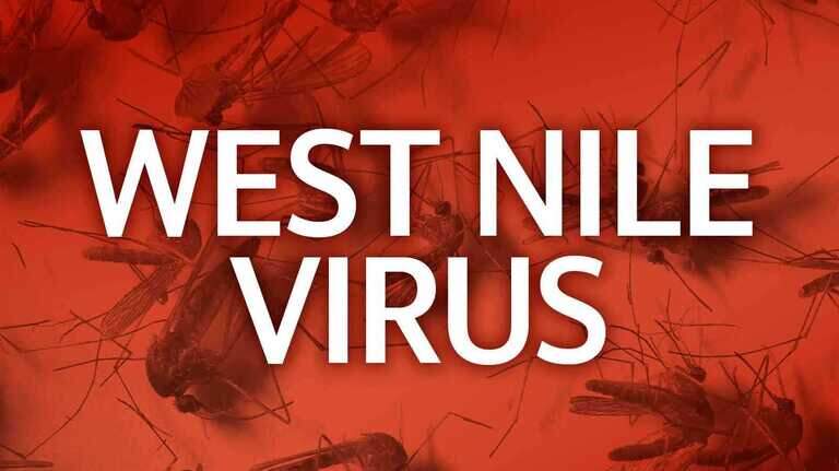 Yolo reports its first human West Nile case of year as mosquito activity increases