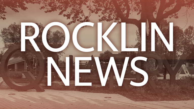 Bear spotted in Rocklin neighborhood. Here’s where police say it was seen