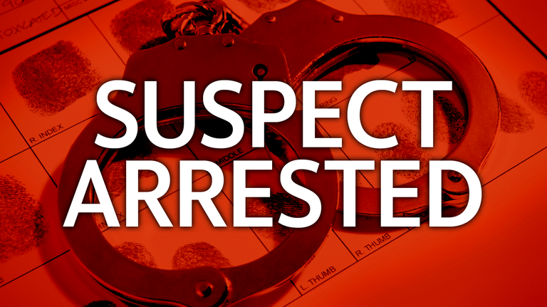 Dos Palos police make arson arrest. Here’s what happened