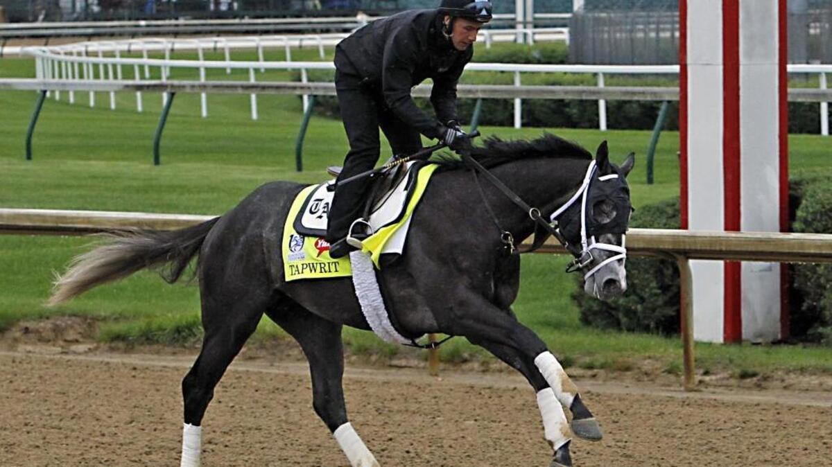 Kentucky Derby entrant Tapwrit, ridden by exercise rider Silvio Pioli, gallops during a morning workout at Churchill Downs in Louisville, Ky., Thursday, May 4, 2017. The Kentucky Derby horse race is set for Saturday, May 6.