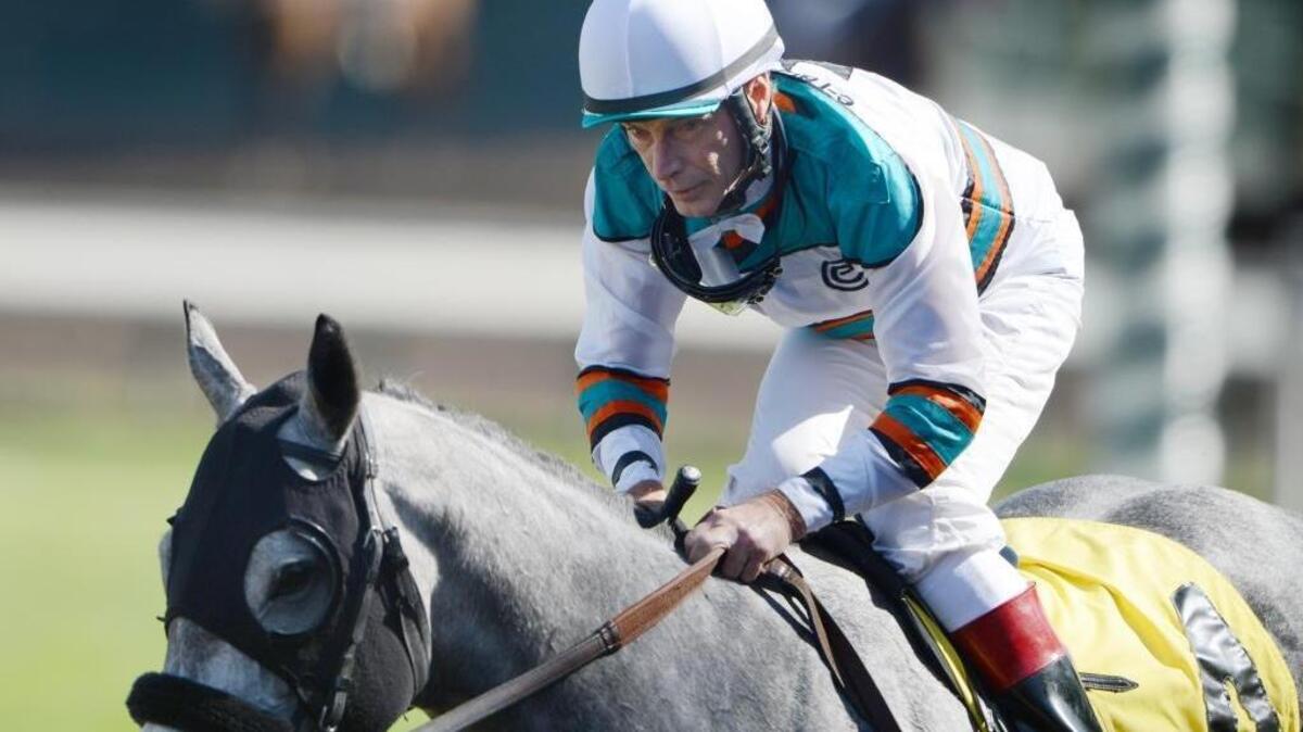 Russell Baze rides in on Platinum Rules after finishing second in the 4th race at the Big Fresno Fair racetrack Thursday, October 3, 2013.