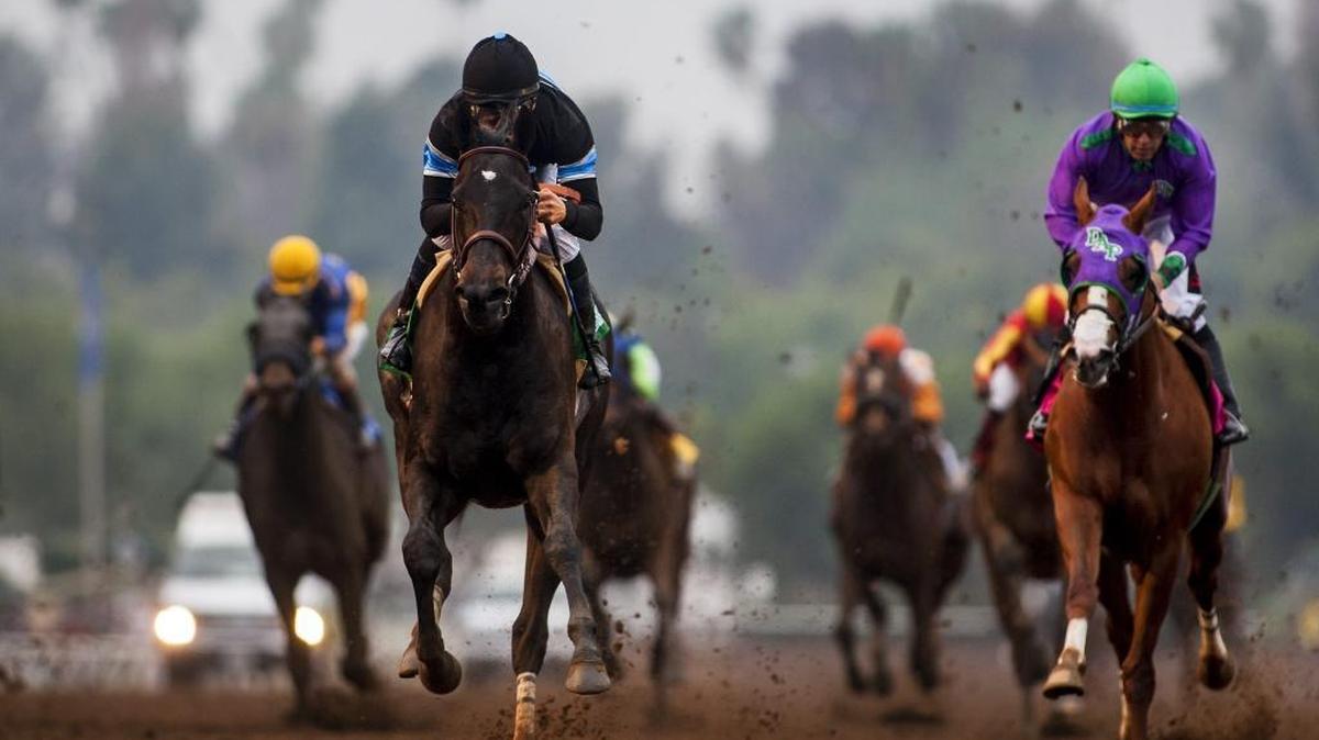 Shared Belief with jockey Mike Smith up defeats California Chrome and Victor Espinoza, right, to win The GII San Antonio Invitational Stakes on Feb. 7, 2015, at Santa Anita Park in Arcadia, Calif.
