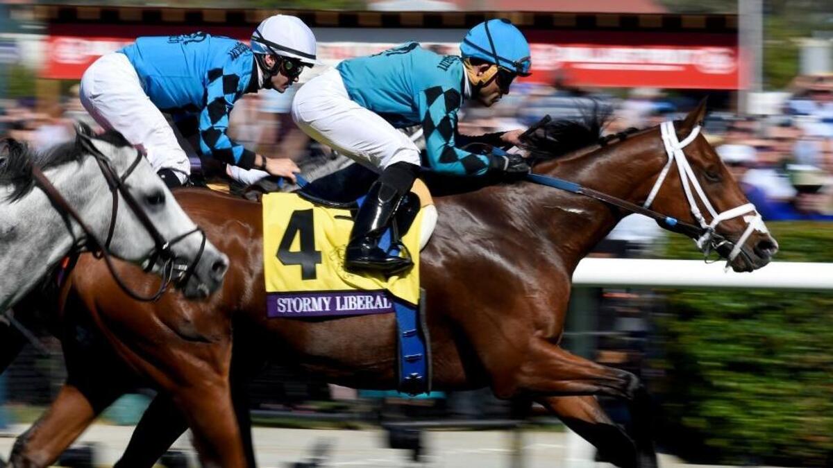 Joel Rosario rides Stormy Liberal to victory in the Turf Sprint horse race during the Breeders' Cup on Saturday in Del Mar.