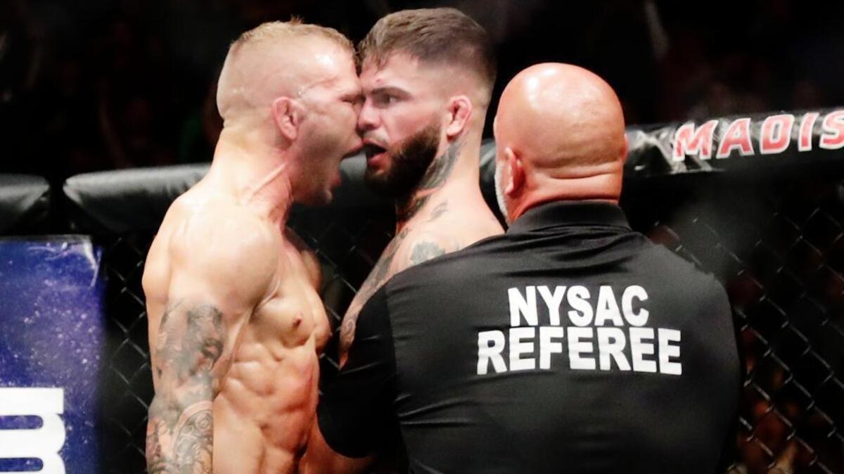 T.J. Dillashaw, left, celebrates after beating Cody Garbrandt in the UFC bantamweight title bout at UFC 217 on Saturday in New York. The mixed martial artists were once training partners with Sacramento’s Team Alpha Male, but Dillashaw left the team in 2015.